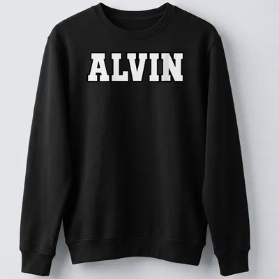Bold black and white t-shirt featuring the name ALVIN in large text — printed on a unisex sweatshirt
