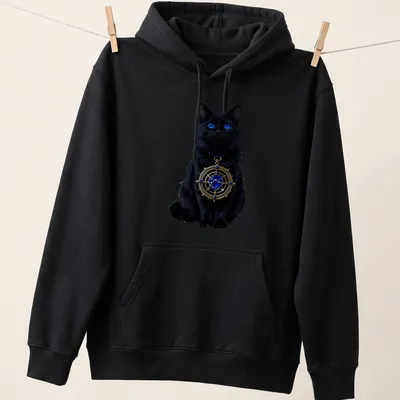 Gothic design featuring a black cat with a celestial astrolabe in blue and gold — printed on a unisex hoodie