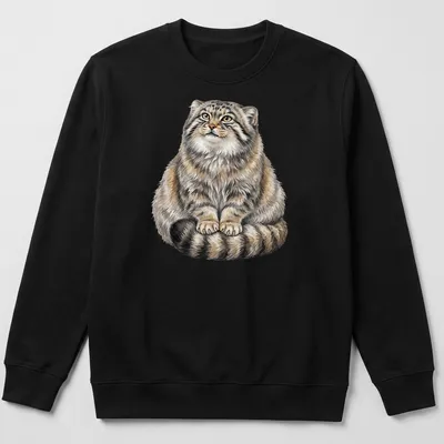 Watercolor of a fluffy Pallas Cat with a majestic expression in gray and cream — printed on a unisex sweatshirt