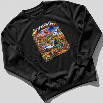 Vintage travel t-shirt featuring New Mexico landscape with colorful text — printed on a unisex sweatshirt
