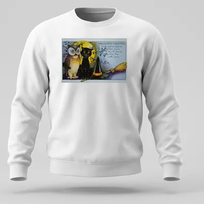 Vintage illustration of an owl and black cat with Halloween greeting text — printed on a unisex sweatshirt