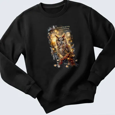 Detailed owl illustration with autumn leaves and inspirational text about taking time — printed on a unisex sweatshirt