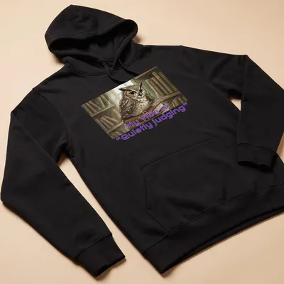 Illustrative owl t-shirt featuring the phrase 'My Vibe is Quietly Judging' in playful font — printed on a unisex hoodie