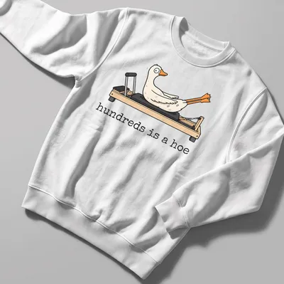 Cartoonish goose in Pilates pose with humorous text "hundreds is a hoe" — printed on a unisex sweatshirt