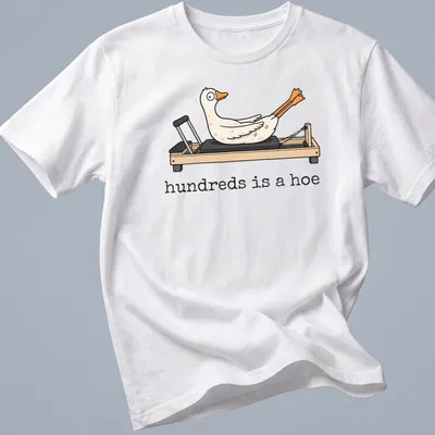 Cartoonish goose in Pilates pose with humorous text "hundreds is a hoe"