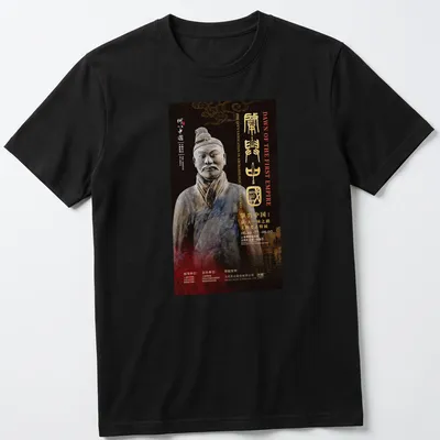 Terracotta Warrior graphic with text about Qin's unification in historical poster style